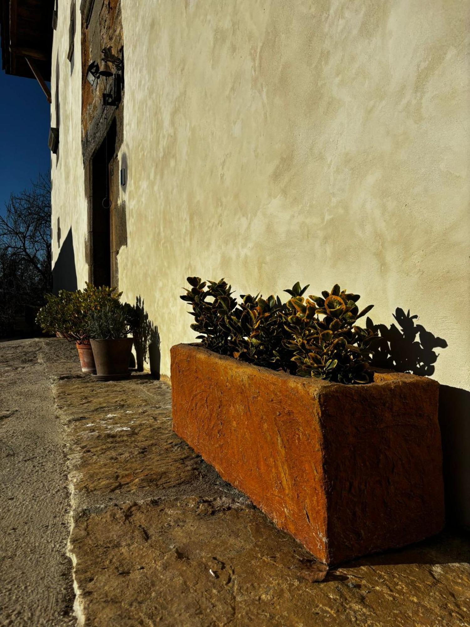 Casa Rural Mas Arimany Cantonigros Exterior foto